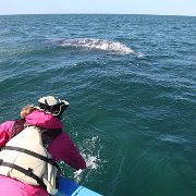 IMG 0001 2 (278)